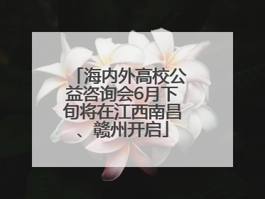 海内外高校公益咨询会6月下旬将在江西南昌、赣州开启