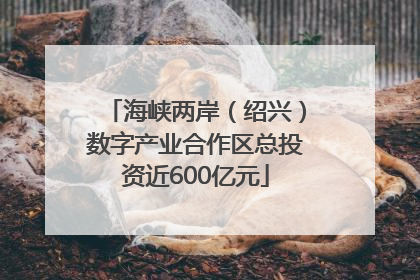 海峡两岸（绍兴）数字产业合作区总投资近600亿元