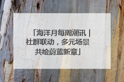 海洋月每周潮讯｜社群联动，多元场景共绘蔚蓝新章