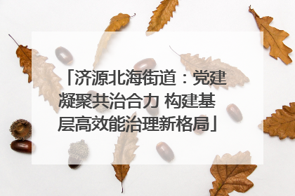 济源北海街道：党建凝聚共治合力 构建基层高效能治理新格局