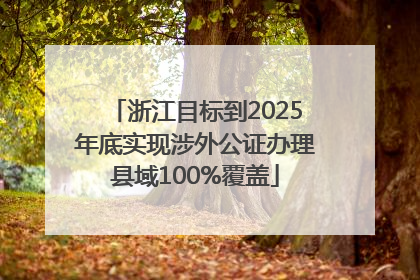 浙江目标到2025年底实现涉外公证办理县域100%覆盖