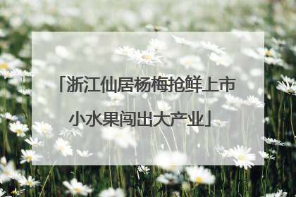 浙江仙居杨梅抢鲜上市 小水果闯出大产业