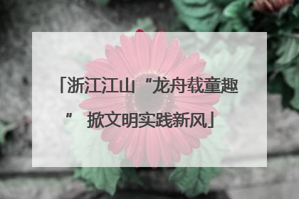 浙江江山“龙舟载童趣” 掀文明实践新风