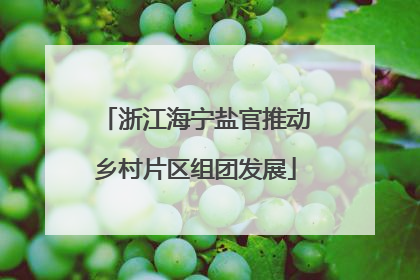 浙江海宁盐官推动乡村片区组团发展