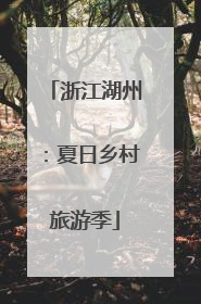 浙江湖州：夏日乡村旅游季