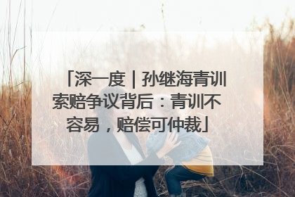 深一度｜孙继海青训索赔争议背后：青训不容易，赔偿可仲裁