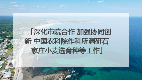 深化市院合作 加强协同创新 中国农科院作科所调研石家庄小麦选育种等工作