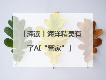 深读丨海洋精灵有了AI“管家”