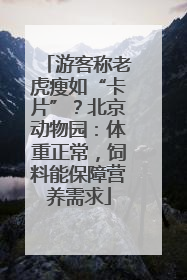 游客称老虎瘦如“卡片”？北京动物园：体重正常，饲料能保障营养需求
