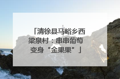 清徐县马峪乡西梁泉村：串串葡萄变身“金果果”