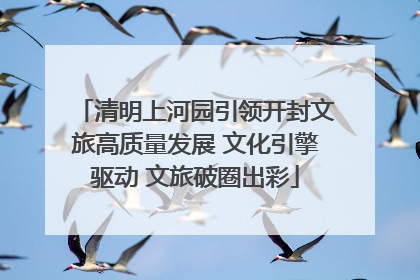 清明上河园引领开封文旅高质量发展 文化引擎驱动 文旅破圈出彩