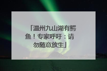 温州九山湖有鳄鱼！专家呼吁：请勿随意放生