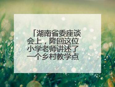 湖南省委座谈会上，隆回这位小学老师讲述了一个乡村教学点的温暖故事
