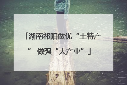 湖南祁阳做优“土特产” 做强“大产业”