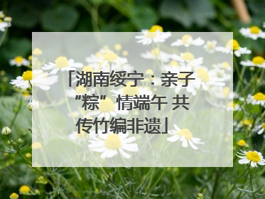 湖南绥宁：亲子“粽”情端午 共传竹编非遗