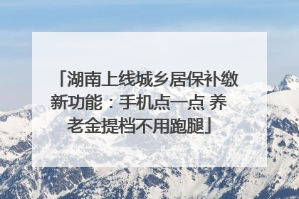 湖南上线城乡居保补缴新功能：手机点一点 养老金提档不用跑腿