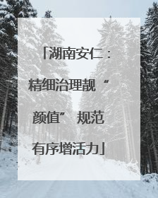 湖南安仁：精细治理靓“颜值” 规范有序增活力