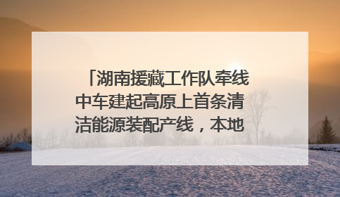 湖南援藏工作队牵线中车建起高原上首条清洁能源装配产线，本地大学生成车间检验员