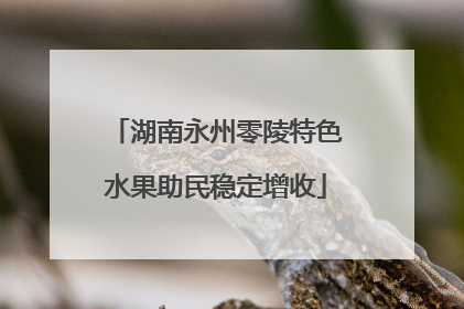 湖南永州零陵特色水果助民稳定增收