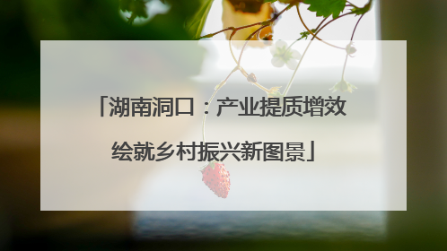 湖南洞口：产业提质增效 绘就乡村振兴新图景