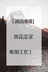 湖南衡阳：黄花菜采收加工忙