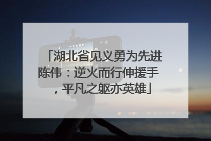 湖北省见义勇为先进陈伟：逆火而行伸援手，平凡之躯亦英雄
