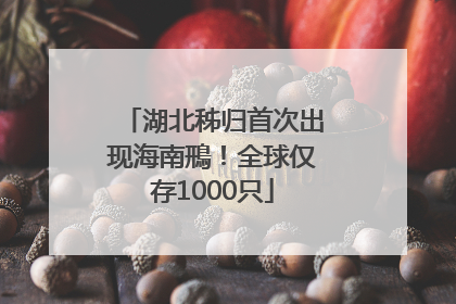 湖北秭归首次出现海南鳽！全球仅存1000只