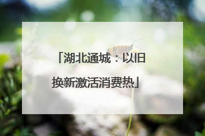 湖北通城：以旧换新激活消费热