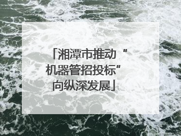 湘潭市推动“机器管招投标”向纵深发展