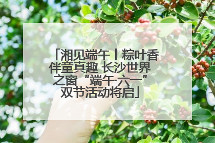 湘见端午丨粽叶香伴童真趣 长沙世界之窗“端午·六一”双节活动将启