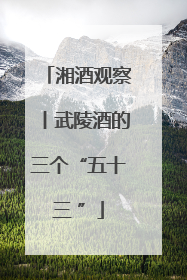 湘酒观察丨武陵酒的三个“五十三 ”