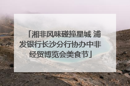 湘非风味碰撞星城 浦发银行长沙分行协办中非经贸博览会美食节