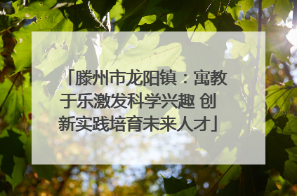 滕州市龙阳镇：寓教于乐激发科学兴趣 创新实践培育未来人才