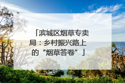 滨城区烟草专卖局：乡村振兴路上的“烟草答卷”