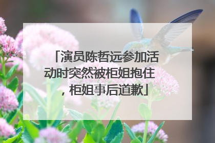 演员陈哲远参加活动时突然被柜姐抱住，柜姐事后道歉