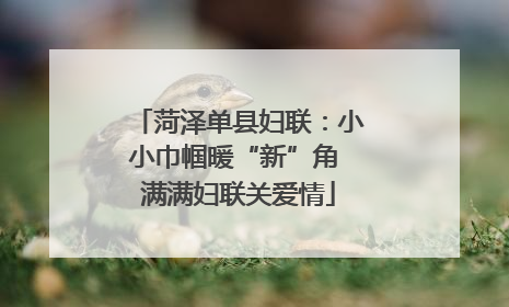 菏泽单县妇联：小小巾帼暖“新”角 满满妇联关爱情