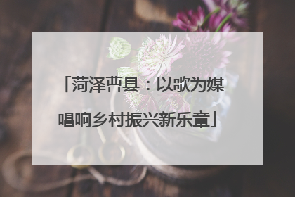 菏泽曹县：以歌为媒 唱响乡村振兴新乐章