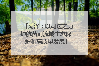 菏泽：以司法之力护航黄河流域生态保护和高质量发展