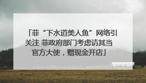 菲“下水道美人鱼”网络引关注 菲政府部门考虑请其当官方大使，赠现金开店