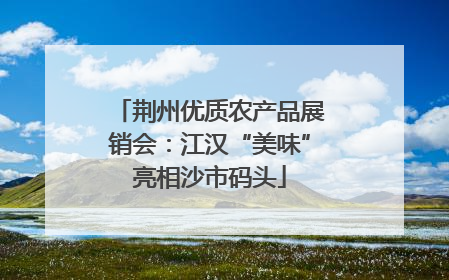 荆州优质农产品展销会：江汉“美味”亮相沙市码头