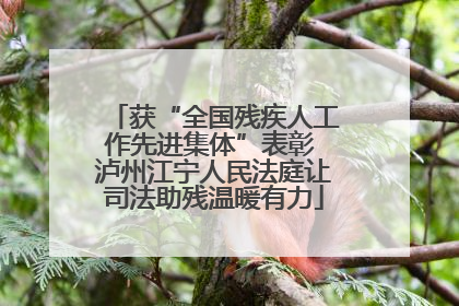 获“全国残疾人工作先进集体”表彰 泸州江宁人民法庭让司法助残温暖有力