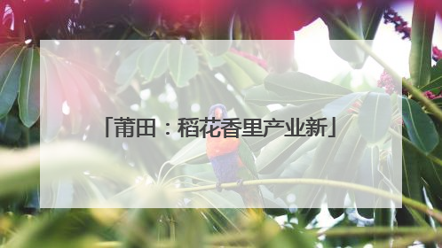 莆田：稻花香里产业新
