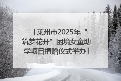 莱州市2025年“筑梦花开”困境女童助学项目捐赠仪式举办