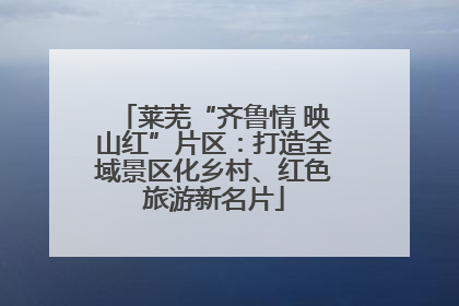 莱芜“齐鲁情 映山红”片区：打造全域景区化乡村、红色旅游新名片