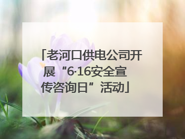 老河口供电公司开展“6·16安全宣传咨询日”活动