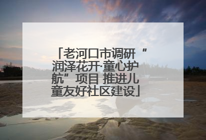 老河口市调研“润泽花开·童心护航”项目 推进儿童友好社区建设