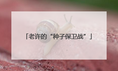 老许的“种子保卫战”