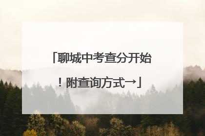 聊城中考查分开始！附查询方式→