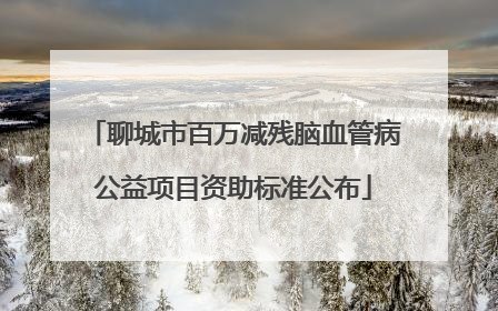 聊城市百万减残脑血管病公益项目资助标准公布