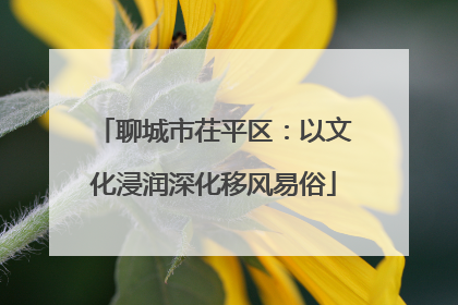 聊城市茌平区：以文化浸润深化移风易俗